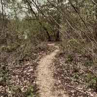 Encompass Thou Me ‘til Doom [Single] - Wyrd from Runa's Stream
